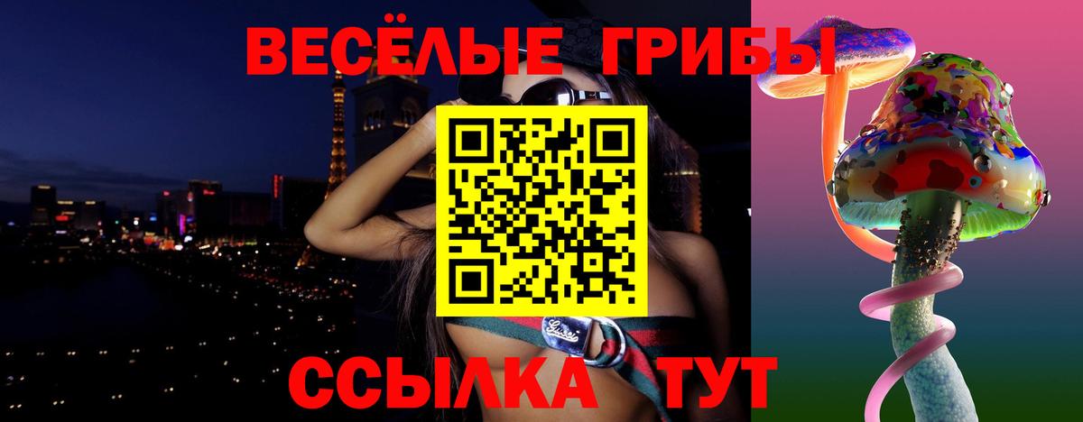 Галлюциногенные грибы GOLDEN TEACHER  Вход с VPN  Железногорск  Псилоцибиновые грибы мицелий 